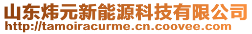 山东炜元新能源科技有限公司