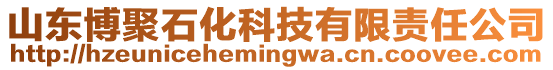 山東博聚石化科技有限責任公司