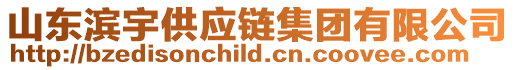 山東濱宇供應鏈集團有限公司