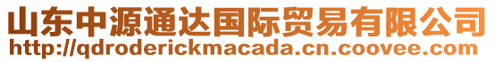 山東中源通達(dá)國(guó)際貿(mào)易有限公司