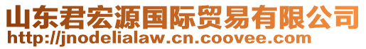山東君宏源國際貿(mào)易有限公司