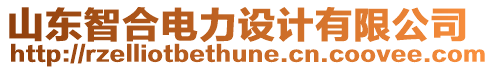 山東智合電力設計有限公司