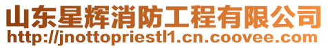 山東星輝消防工程有限公司