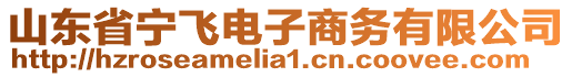 山東省寧飛電子商務有限公司