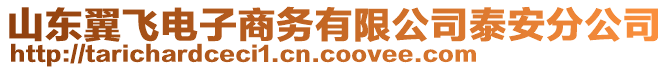 山東翼飛電子商務(wù)有限公司泰安分公司