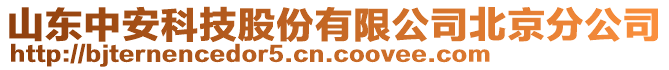 山東中安科技股份有限公司北京分公司