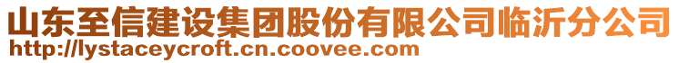 山東至信建設(shè)集團(tuán)股份有限公司臨沂分公司