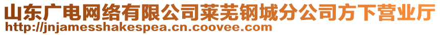 山東廣電網絡有限公司萊蕪鋼城分公司方下營業(yè)廳