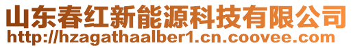 山東春紅新能源科技有限公司