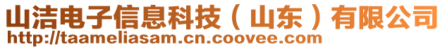 山潔電子信息科技（山東）有限公司