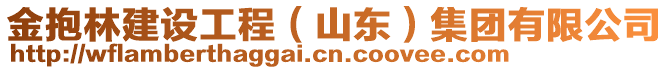 金抱林建設(shè)工程（山東）集團有限公司