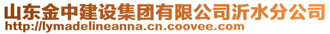 山東金中建設集團有限公司沂水分公司