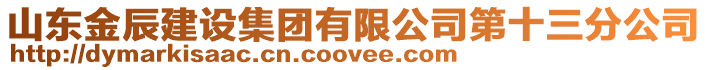 山東金辰建設(shè)集團(tuán)有限公司第十三分公司