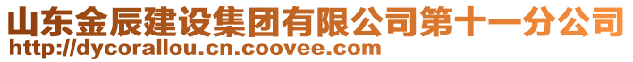 山東金辰建設集團有限公司第十一分公司