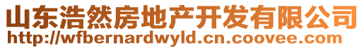 山東浩然房地產(chǎn)開發(fā)有限公司