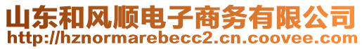 山東和風(fēng)順電子商務(wù)有限公司