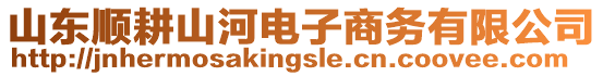 山東順耕山河電子商務(wù)有限公司