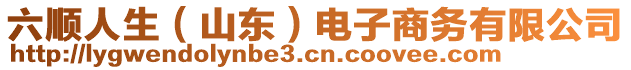 六順人生（山東）電子商務(wù)有限公司