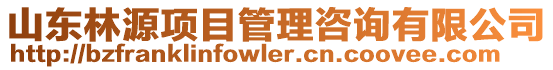 山東林源項目管理咨詢有限公司