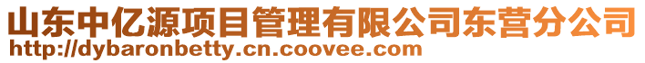 山東中億源項目管理有限公司東營分公司