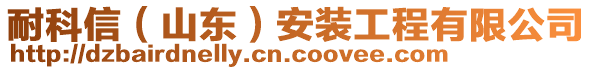 耐科信（山東）安裝工程有限公司