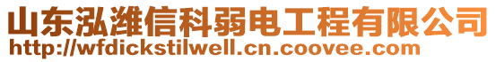 山東泓濰信科弱電工程有限公司