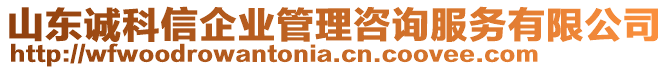 山東誠(chéng)科信企業(yè)管理咨詢服務(wù)有限公司