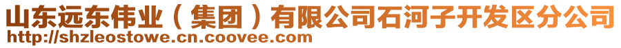 山東遠東偉業(yè)（集團）有限公司石河子開發(fā)區(qū)分公司