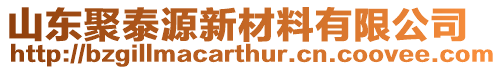 山東聚泰源新材料有限公司