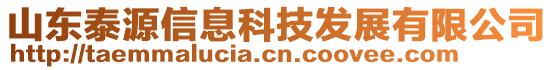 山东泰源信息科技发展有限公司