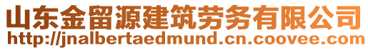 山東金留源建筑勞務(wù)有限公司