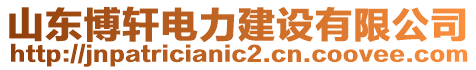 山東博軒電力建設(shè)有限公司