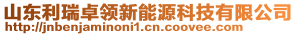 山東利瑞卓領(lǐng)新能源科技有限公司