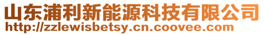 山東浦利新能源科技有限公司