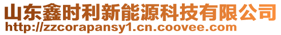 山東鑫時利新能源科技有限公司