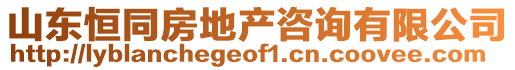山東恒同房地產咨詢有限公司