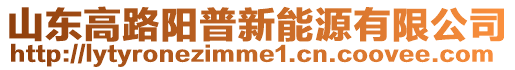 山東高路陽普新能源有限公司