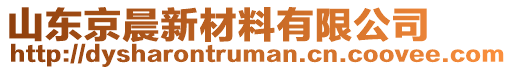 山東京晨新材料有限公司