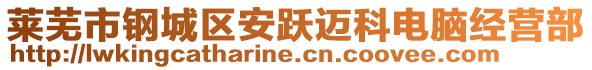 萊蕪市鋼城區(qū)安躍邁科電腦經(jīng)營部