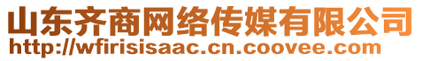 山東齊商網(wǎng)絡(luò)傳媒有限公司