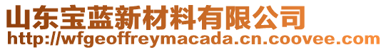 山東寶藍(lán)新材料有限公司