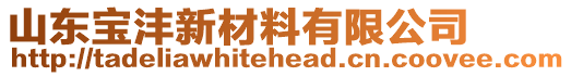 山東寶灃新材料有限公司