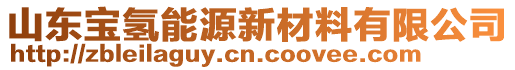 山東寶氫能源新材料有限公司