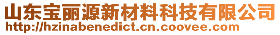 山東寶麗源新材料科技有限公司