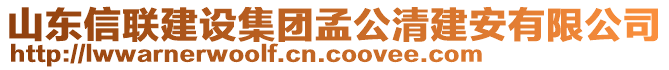 山東信聯(lián)建設(shè)集團(tuán)孟公清建安有限公司