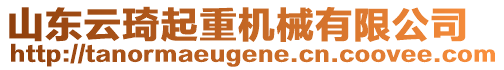 山东云琦起重机械有限公司