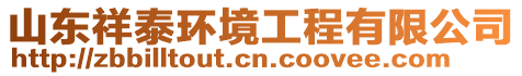 山東祥泰環(huán)境工程有限公司