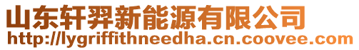 山东轩羿新能源有限公司