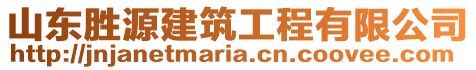 山東勝源建筑工程有限公司