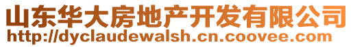 山東華大房地產(chǎn)開(kāi)發(fā)有限公司